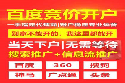 某知名百度推广代理商的营销策略分析